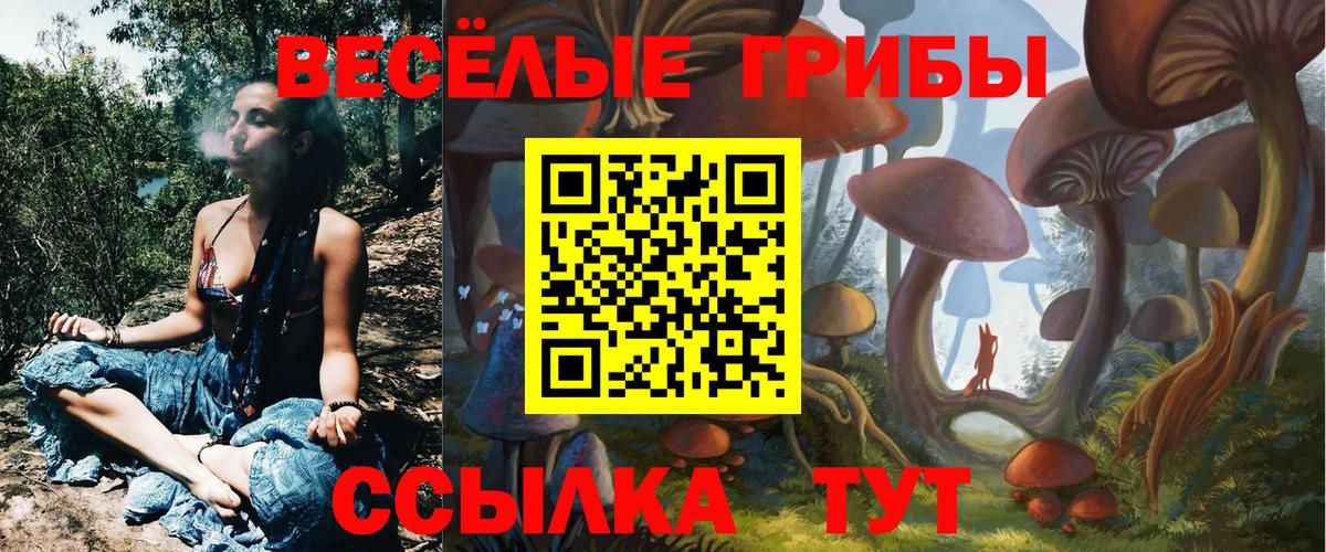 Кызыл  Псилоцибиновые грибы Cubensis  Вход с VPN  Псилоцибиновые грибы GOLDEN TEACHER 